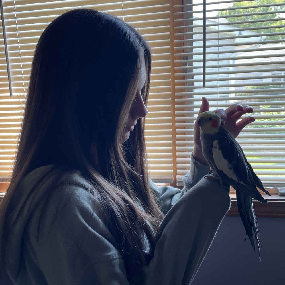 Meet your Posher, Andrea